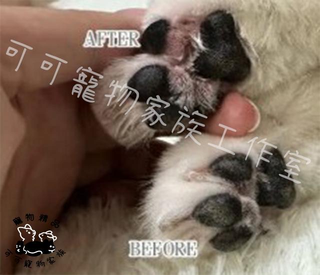 【預購】KIMINO寵物肉球清潔慕斯