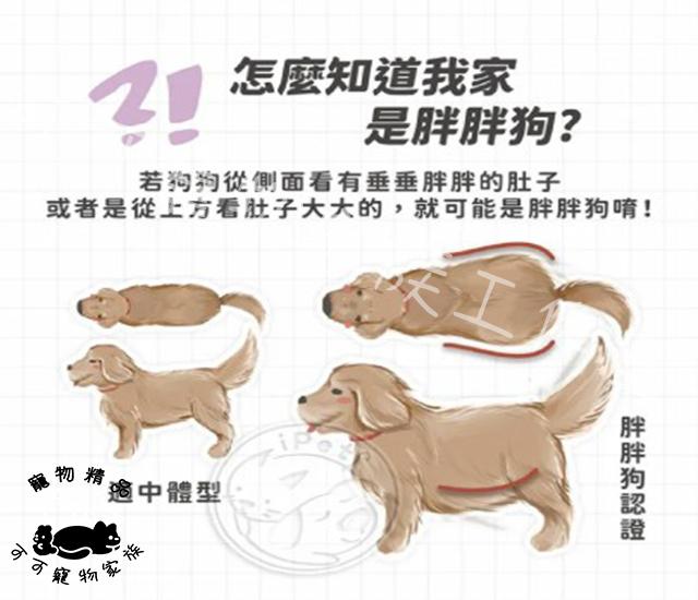 【預購】陪心Nu4PET犬用輕脂主食罐