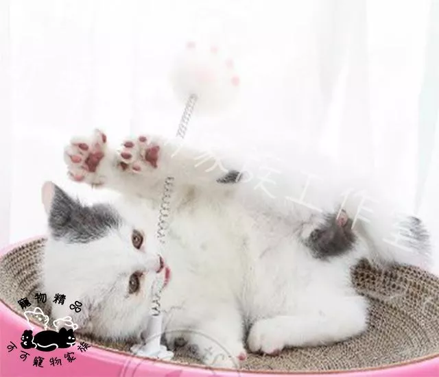 【預購】貓抓板搖搖樂