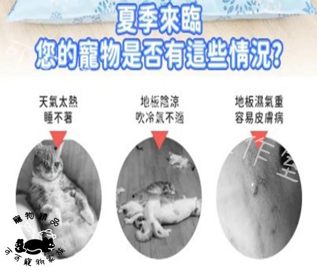【預購】寵物夏日降溫冰窩