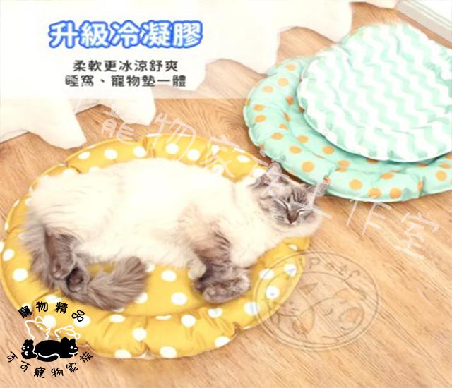 【預購】寵物夏日降溫冰窩