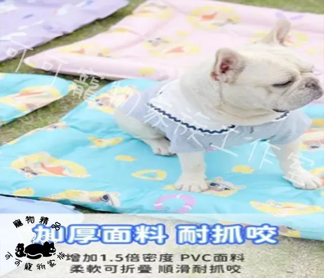 【預購】寵物夏日降溫冰窩