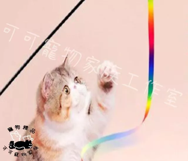 【預購】彩虹緞帶逗貓棒
