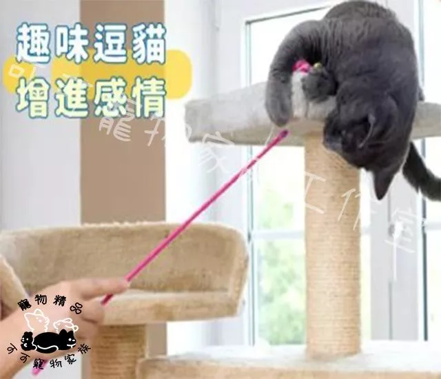 【預購】劍麻老鼠逗貓棒