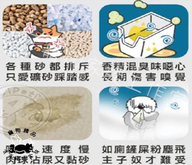 【預購】ODOUT臭味滾X除臭瞬吸礦砂