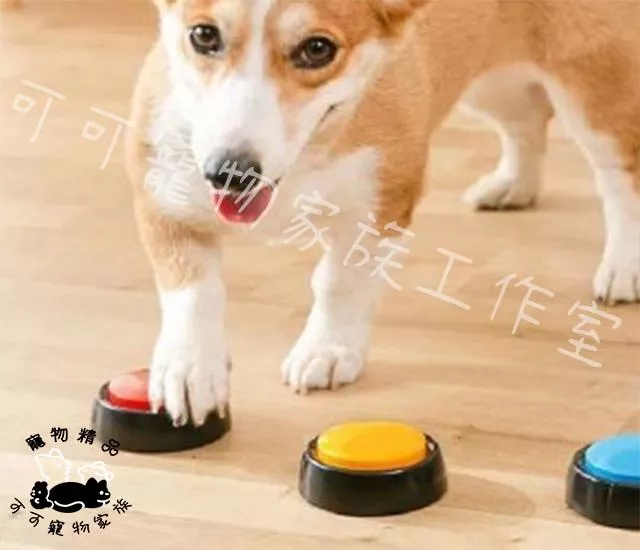【預購】寵物錄音按鈕