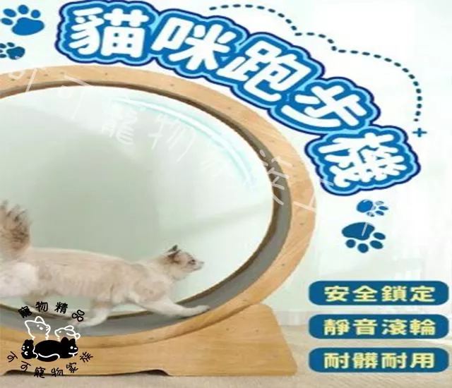 【預購】貓咪跑步機