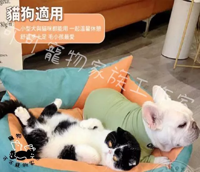 【預購】撞色寵物睡窩