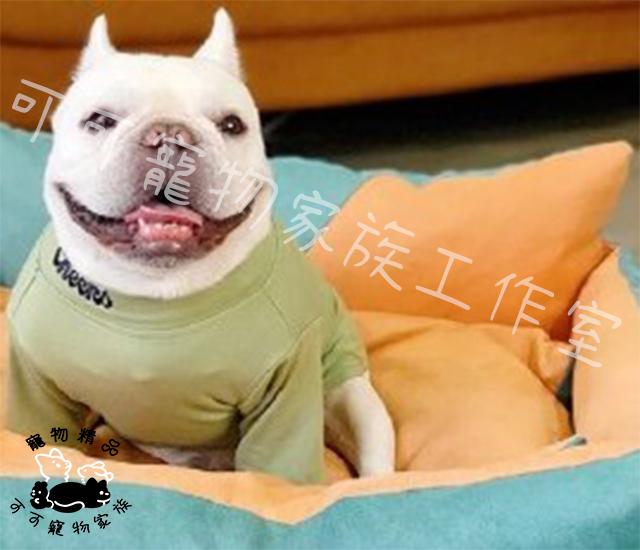【預購】撞色寵物睡窩
