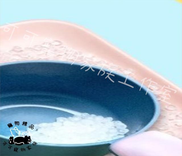【預購】派可為寵物拼色食物杓