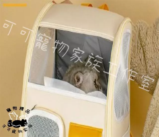 【預購】學院風寵物雙肩背包