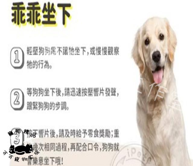 【預購】寵物訓練響片