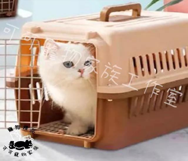 【預購】寵物航空運輸箱
