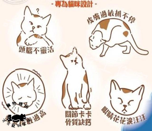 【預購】鯖食家燉湯貓罐