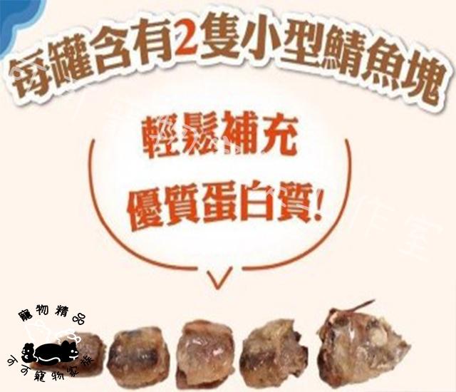 【預購】鯖食家燉湯貓罐