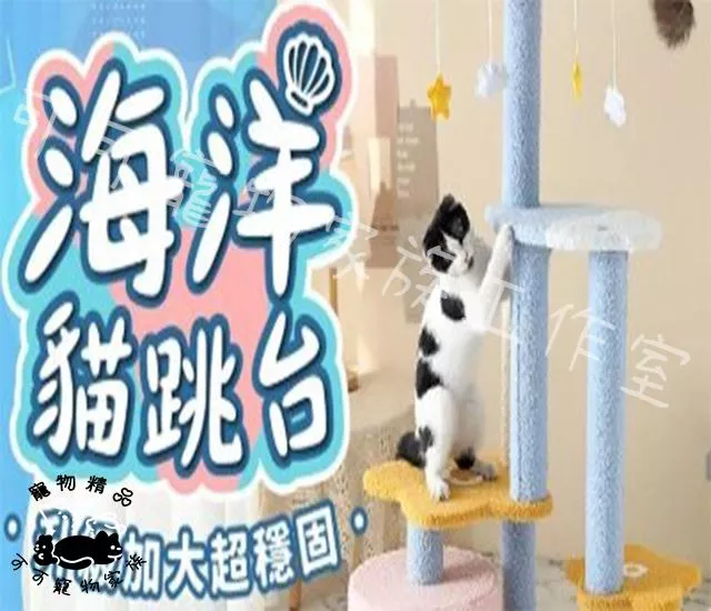 【預購】海洋貓跳台