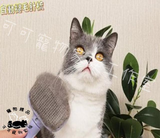 【預購】派可為寵物褪毛針梳