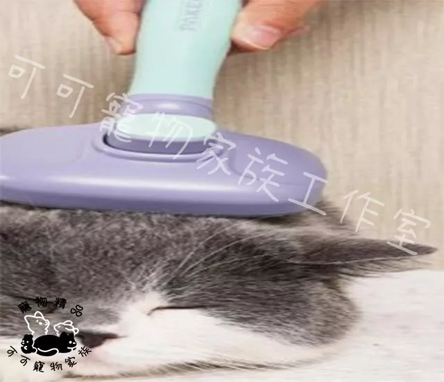 【預購】派可為寵物褪毛針梳
