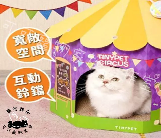 【預購】馬戲團貓抓屋