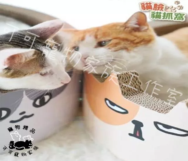 【預購】貓臉貓抓窩