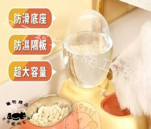 【預購】糖果色寵物兩用碗