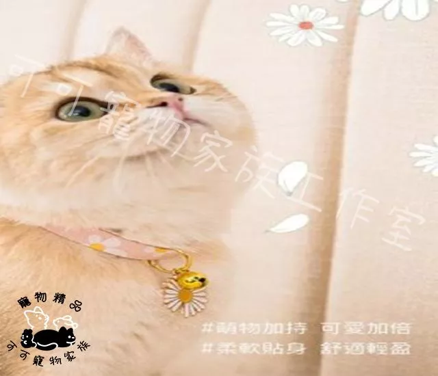 寵物造型項圈