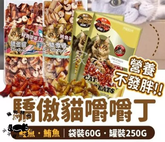 驕傲貓-嚼嚼丁