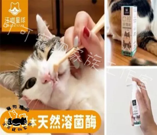 汪喵星球 (噴劑型)潔牙護理酵素