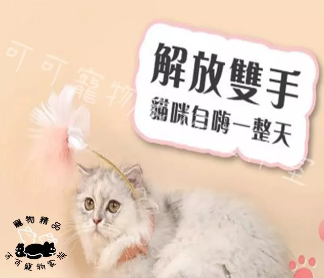 項圈羽毛逗貓棒