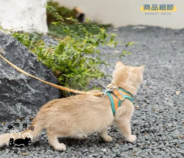 貓咪麂皮背心牽引繩