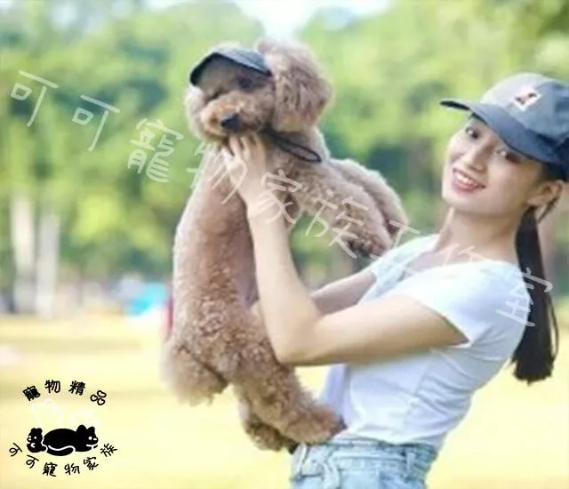 寵物棒球帽
