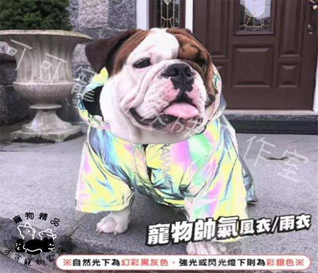 寵物帥氣風衣