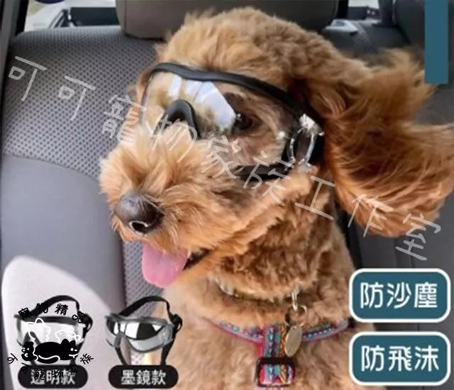 寵物護目鏡