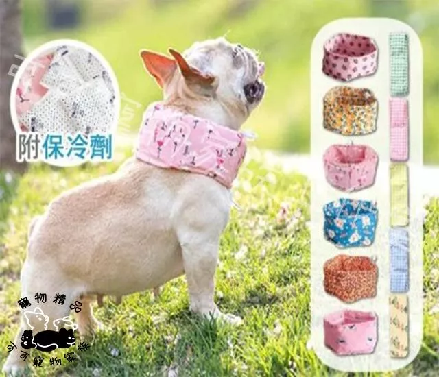 寵物降溫圍脖