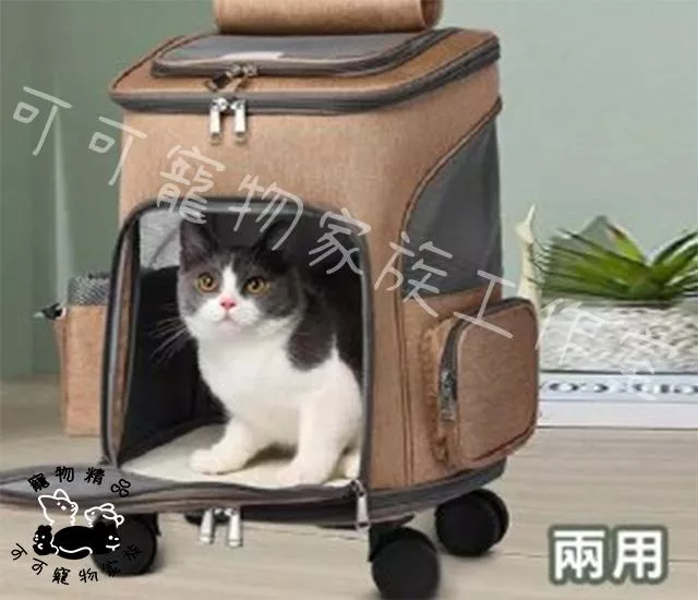 T字質感拉桿箱