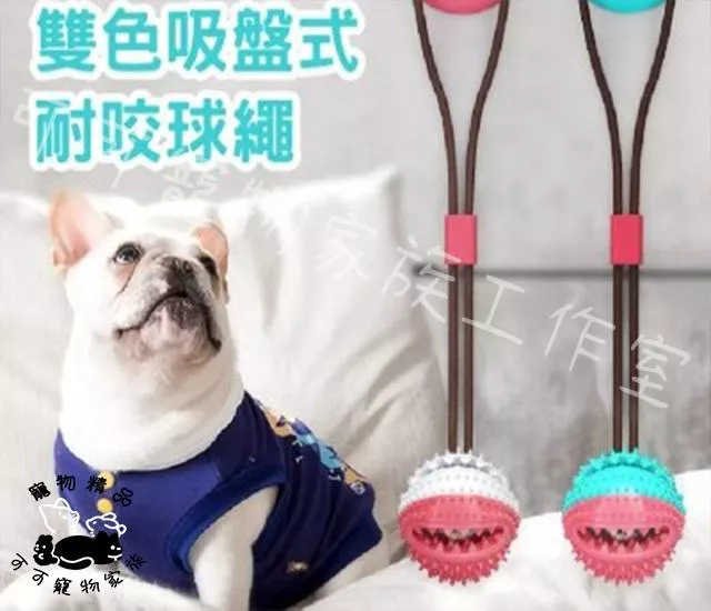 雙色吸盤式耐咬球繩