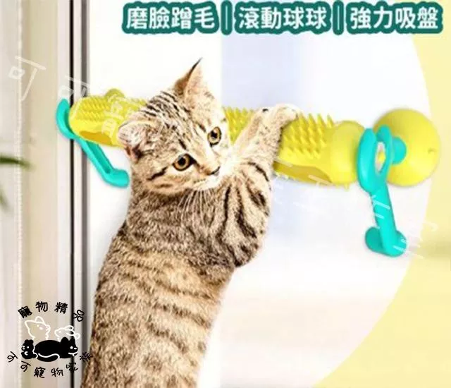 貓咪壁掛式旋轉軌道球