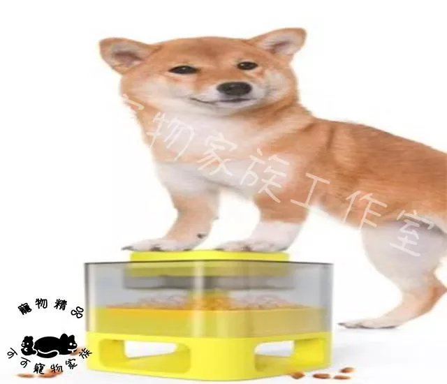 寵物益智彈食玩具