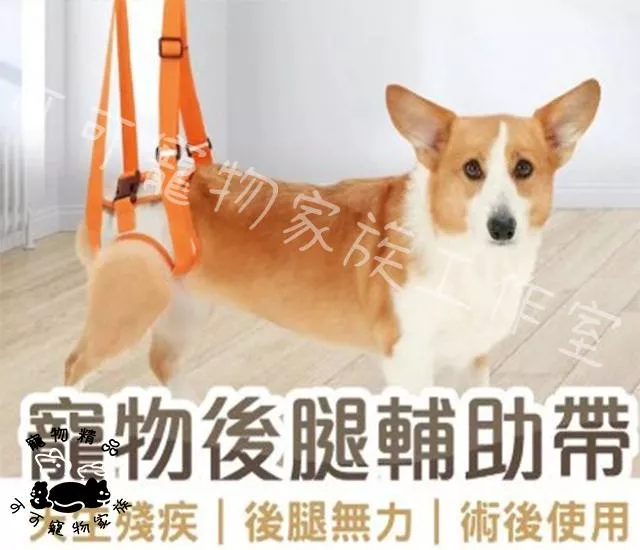 寵物後腿輔助帶