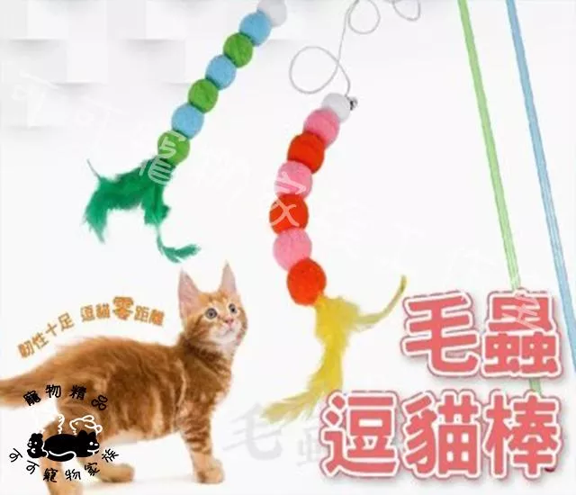 毛毛蟲逗貓棒