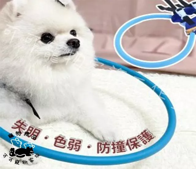 寵物失明防撞圈