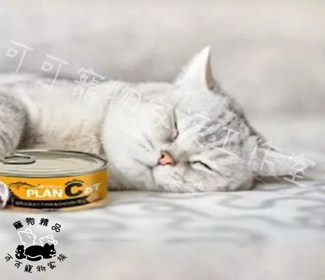 韓國喵洽普PlanCat無穀貓罐