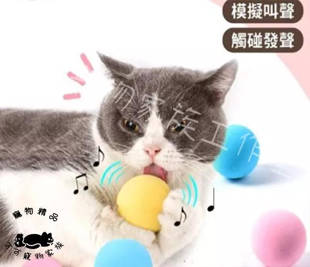 寵物引力叫叫球