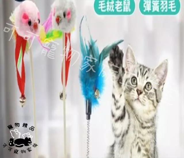 吸盤式逗貓棒