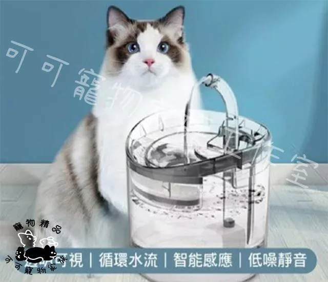 全透明智能感應貓咪飲水機