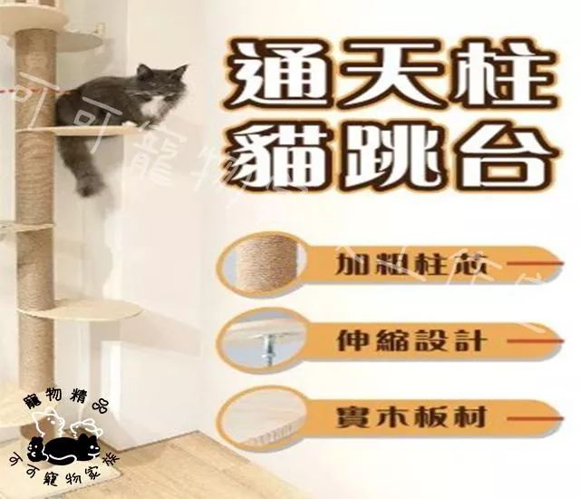 通天柱貓跳台