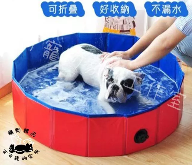 寵物摺疊式泳池