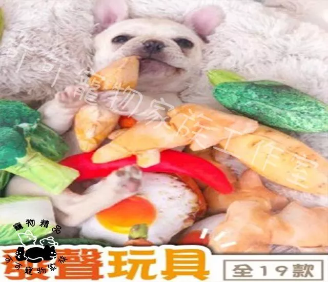 寵物仿真發聲玩具