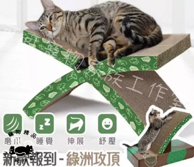 野外模擬 X型貓抓板