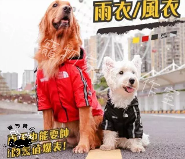 寵物帥氣風衣